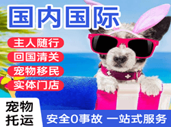济南机场物流国际宠物托运 【国